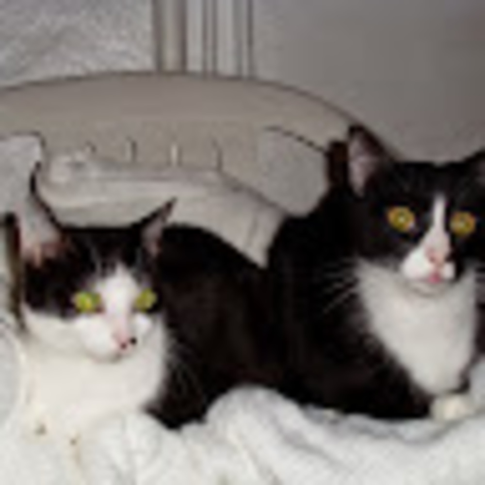 Meet your Posher, Gloria